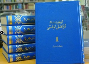 Ughur dictionary: Does editing these tomes require certification in Chinese?